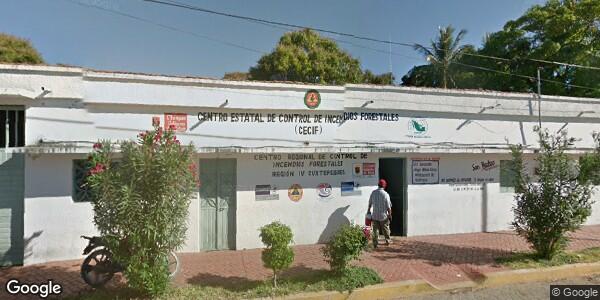 DEPARTAMENTO DE ECOLOGIA